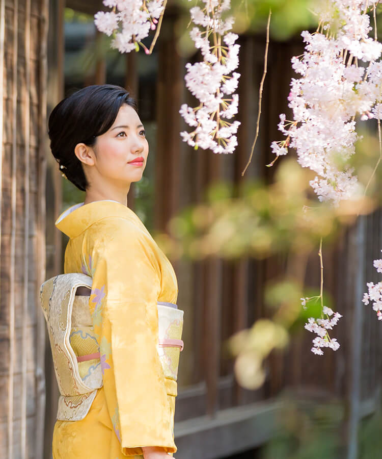 訪問着レンタル 結婚式や卒業式 入学式での訪問着なら京都着物レンタル 夢館